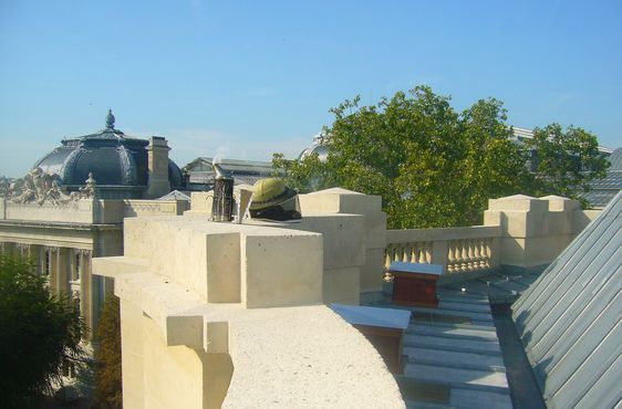 Les nouvelles occupantes du Grand Palais