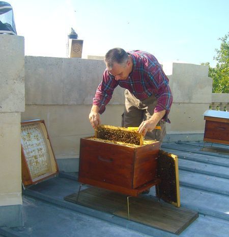 Les nouvelles occupantes du Grand Palais