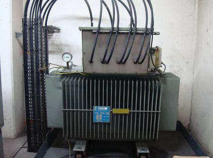 L’indésirable pyralène de l’école maternelle Roquépine