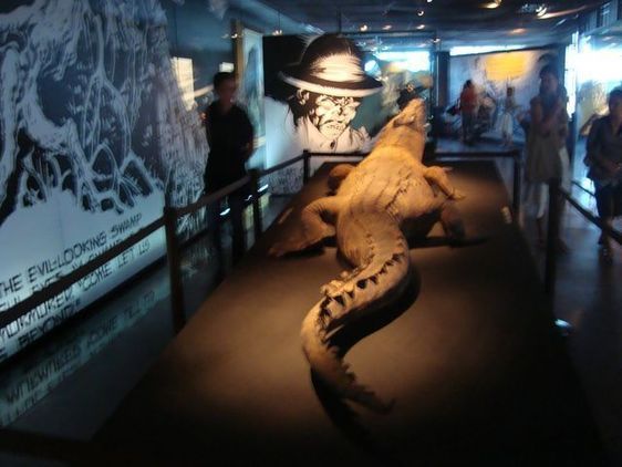 Musée du Quai Branly : Tarzan au naturel