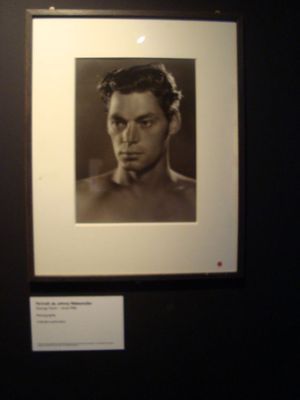 Musée du Quai Branly : Tarzan au naturel