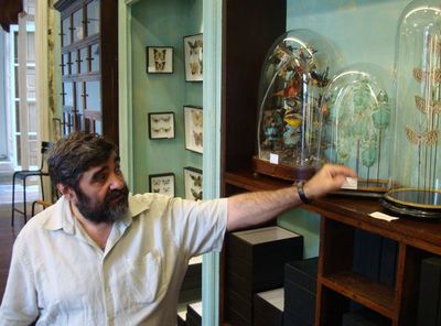 L’Arche de Deyrolle