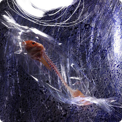 1er Festival international de la photographie culinaire