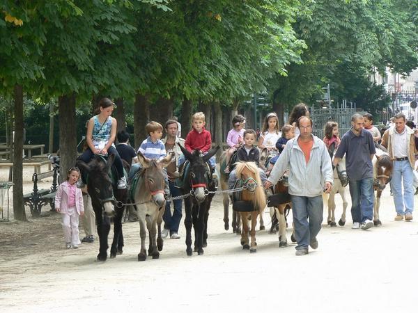 Les poneys du Jardin