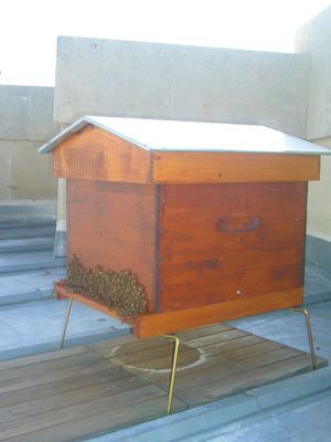 Une nouvelle ruche dans le 7ème arrondissement