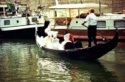 (c) Arsenal Venise en 2005 : l'association Paris Carnaval Arsenal organise chaque début avril son carnaval d'Arsenal Venise