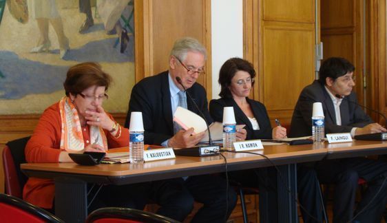 Le premier conseil d'arrondissement de Florence Laingui