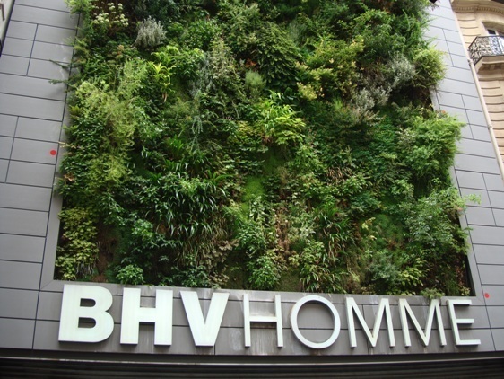 (c) Oeuvre de Patrick Blanc : mur vivant du BHV Homme