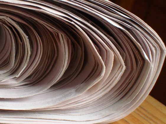 La presse nationale et régionale se sont saisies de la question