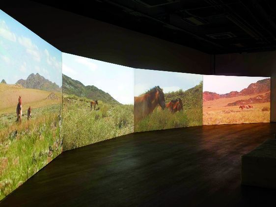 Ariane Michel, La ligne du dessus, 2010 - Quadriptyque vidéo, 24 min, production Espace Croisé, courtesy - Ariane Michel & Jousse Entreprise, Paris