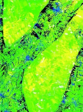 S.A.R Chantal de France