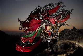 Photographies de Nicolas Henry