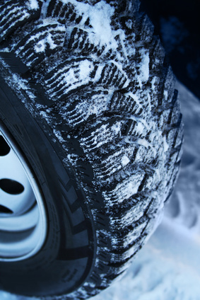 (c) raven - fotolia.com