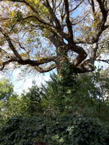 A partir de 2020, Paris ne comptera plus que 17 mairies d'arrondissement, contre 20 actuellement © LG/PT