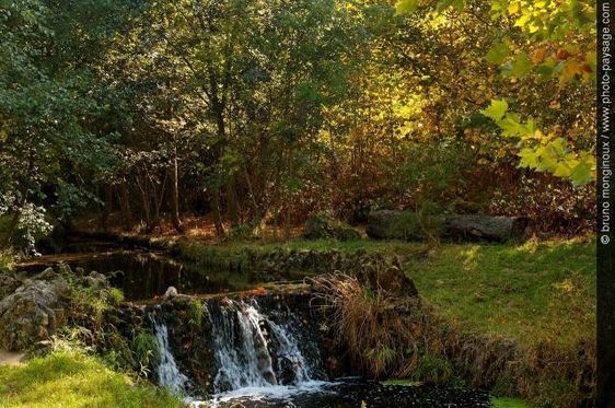 Petite cascade, ruisseau du Bois de Vincennes - Photo : Bruno Monginoux /  Photo-Paysage.com