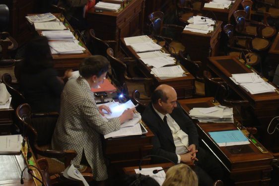 Geneviève Bertrand, présidente de la commission culture au conseil de Paris.