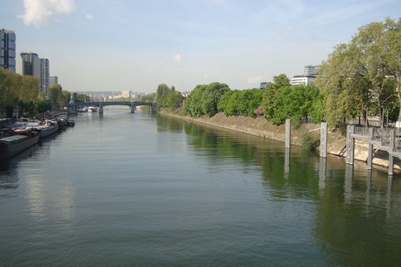 L'Ile aux Cygnes en face de Beaugrenelle. Photo : Louise Wessier.