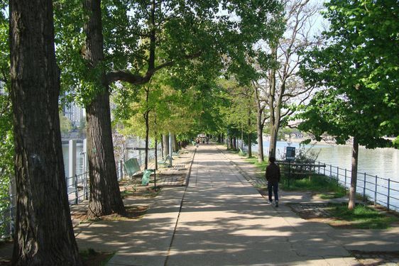 L'Unique allée de l'Ile aux Cygnes. Photo : Louise Wessier.