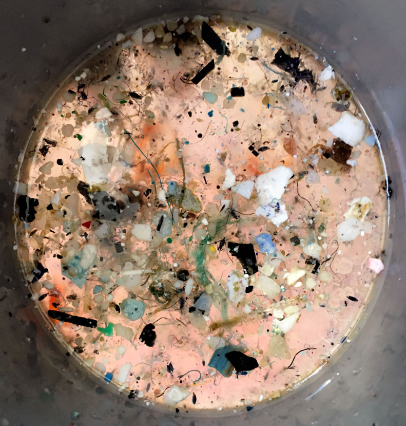 Tears of Sirens, Northern Pacific Ocean © Samuel Bollendorff