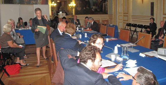 Le conseil d'arrondissement du 7e s'est tenu dans la salle des mariages où un CICA était prévu à la suite - Photo : Julie Hammett.