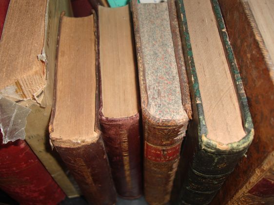 Photo : VD DR Paris Tribune.