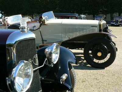 Les belles anciennes - Photo : Tara.