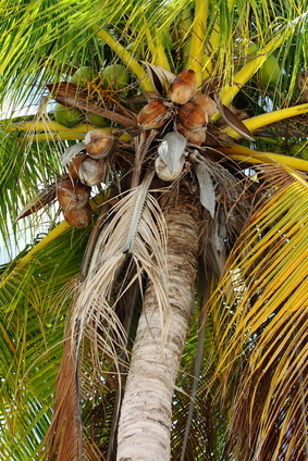 © Mariusz Prusaczyk - Fotolia.com