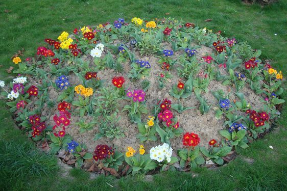 Parterre de fleurs sur la Place du Louvre, face à la mairie du 1er arrondissement - Photos : Archives Paris Tribune.