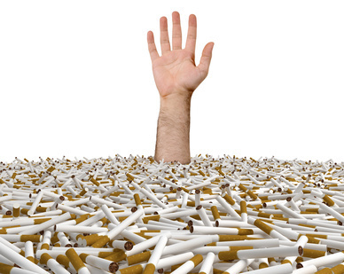 © DeepReal - Fotolia.com