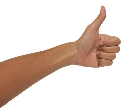 Municipales 2020 à Paris : Cédric Villani et Benjamin Griveaux se sont rencontrés