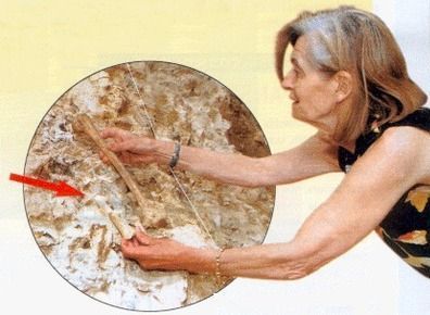 (c) Marie-Antoinette de Lumley.