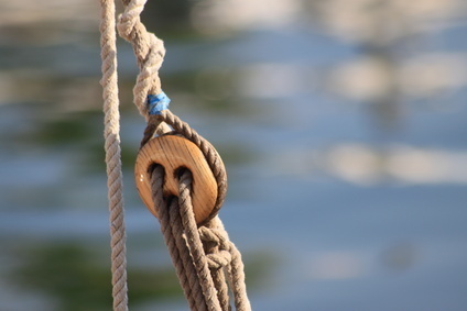 © david debray - Fotolia.com