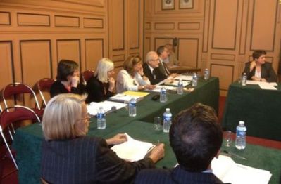 Au fond de g. à d. : Chantal  Tiberghien, Erika Duverger, Heidi Rançon-Clavenel, Alain-Pierre Levy et Arnaud Maggiar lors du conseil du 5 juin 2012.