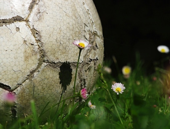 © ursule - Fotolia.com