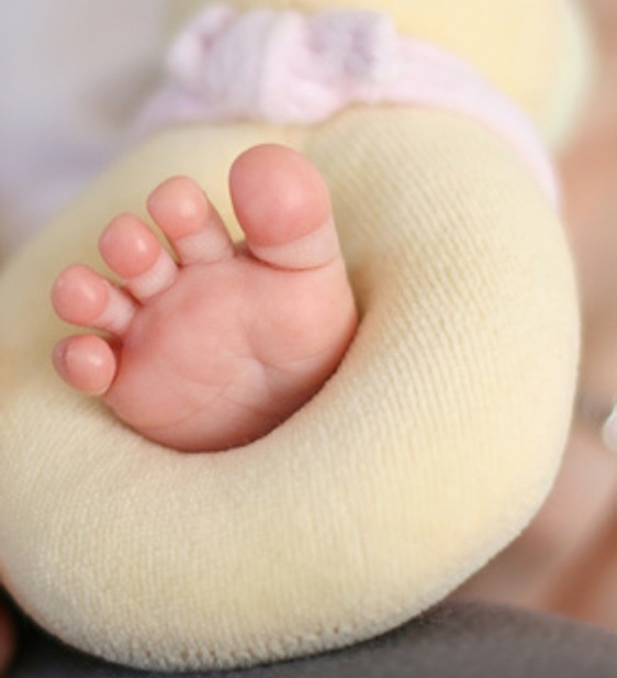 lyju04 - Fotolia.com