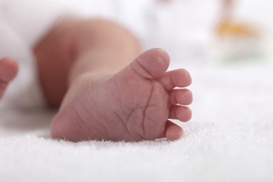 © Artlux - Fotolia.com