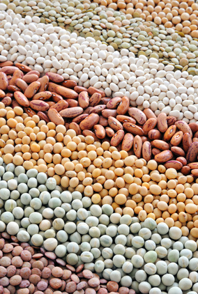 © brozova - Fotolia.com