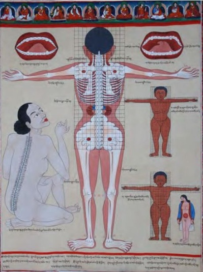 6e arrondissement : conférence sur la médecine traditionnelle tibétaine - Photo : Men-Tsee-Khang.