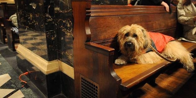 L'Eglise gallicane Sainte Rita organise chaque année une bénédiction des animaux. Ci-dessous : la réunion publique en l'Eglise de Sainte Rita le 29 janvier 2014 à 18h -  Crédit photo : PR / Le Rassemblement.