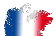 Palmes tricolores © Unclesam - Fotolia.com