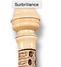Lot 20 avec des vertèbres de requins © Etude Aguttes.