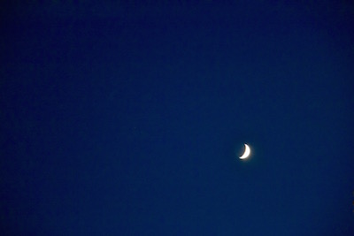 Séance de nuit © VD Paris Tribune
