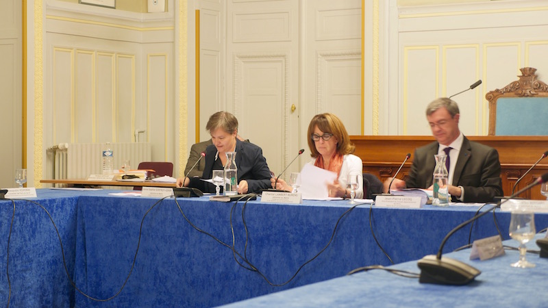 Anne-Sophie Godfroy-Genin au conseil du 6e arrondissement - Photo VD.