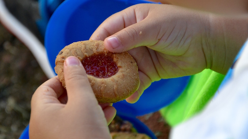 Egalité réelle entre l'hexagone et l'outre-mer - photo :  VD.