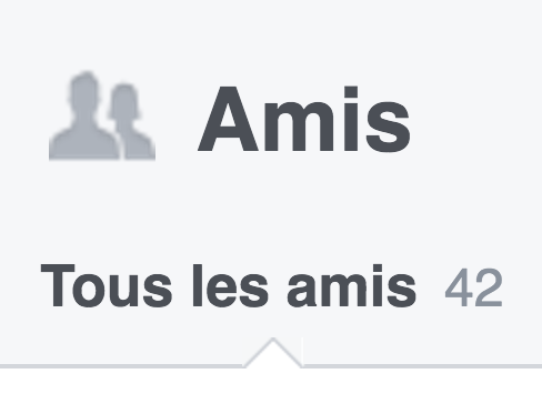 Amis sur Facebook.