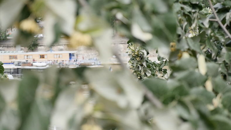La vue sur la Seine depuis le quai haut du port de Suffren © VD/PT