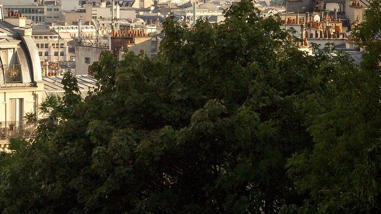 Paris regorge de petites pièces.