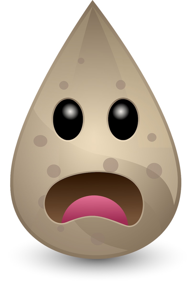 Paris Plage : nouvelles alertes sur la propreté de l'eau des baignades du bassin de la Villette