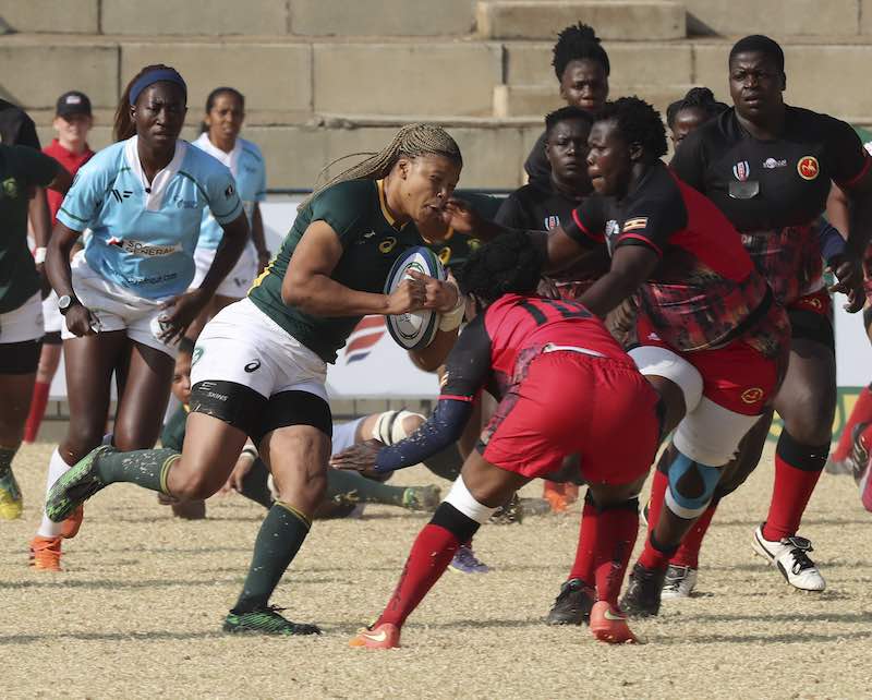 Rugby World Cup African Qualifiers : South Africa defeated Uganda on Friday in Johannesburg during the Rugby Africa Gold Cup © Rugby Africa