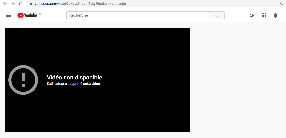 Vidéo des candidats de Benjamin Griveaux indisponible © Capture d’écran le 28 et 29 novembre au matin.